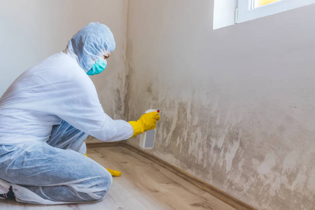 Bathroom Mold Removal assessment in Erwinna bathroom